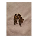 Brooch - Sheetha