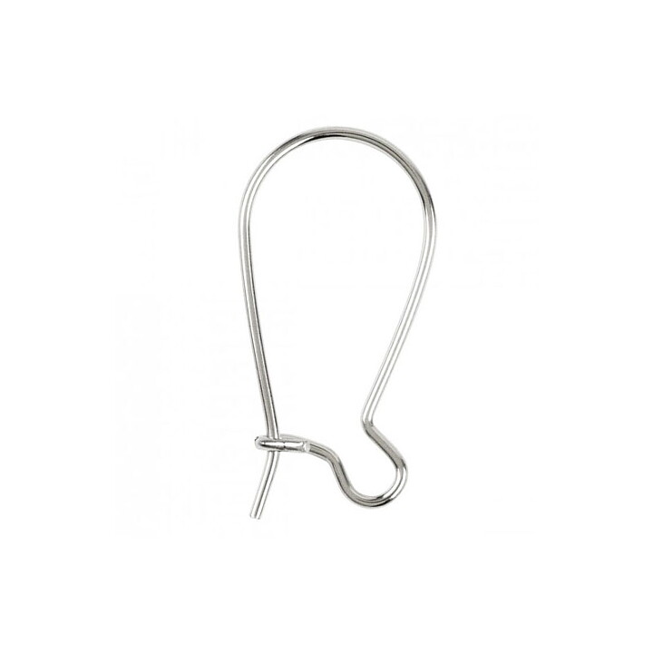 Cousin Stainless Steel Elegance - Kidney Earwires 