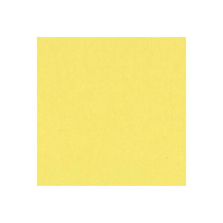 BZ Card Shoppe - Sour Lemon 4-481