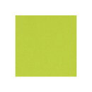 BZ Card Shoppe - Juicy Pear 5-5152