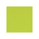 BZ Card Shoppe - Juicy Pear 5-5152