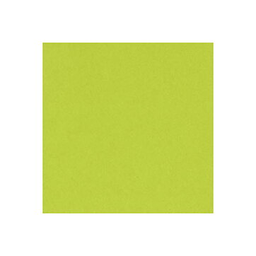 BZ Card Shoppe - Juicy Pear 5-5152