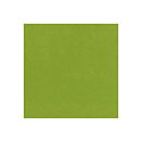 BZ Card Shoppe - Easter Grass 5-5153