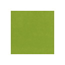 BZ Card Shoppe - Easter Grass 5-5153