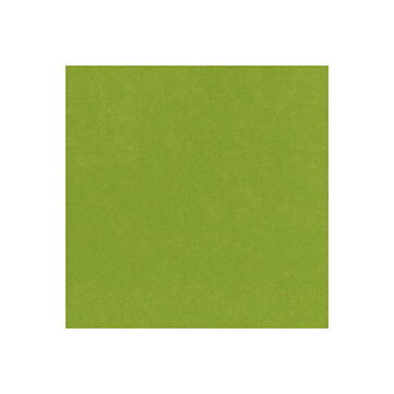 BZ Card Shoppe - Easter Grass 5-5153
