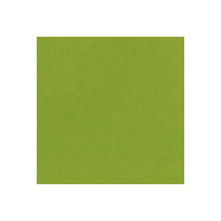 BZ Card Shoppe - Easter Grass 5-5153