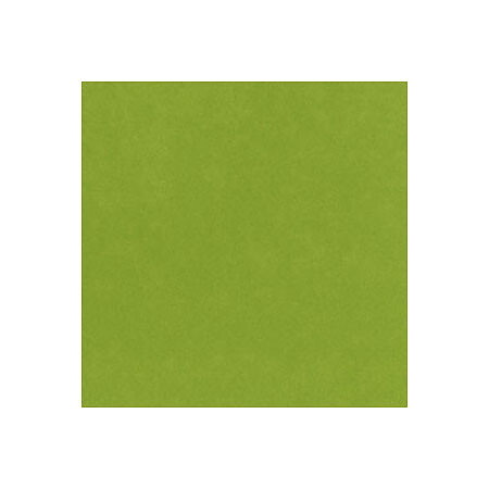 BZ Card Shoppe - Easter Grass 5-5153