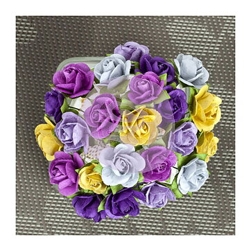 Prima Mini Roses - Sachet Pansy