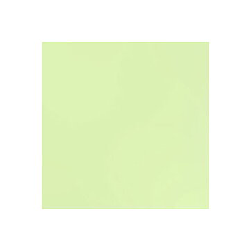 BZ Card Shoppe - Spearmint Stick  5-5156