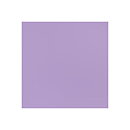 BZ Card Shoppe - Sour Grape 6-6106