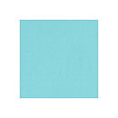 BZ Card Shoppe - Robin’s Egg 7-719
