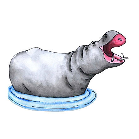 BK Dies 3x4 Animal Hippo