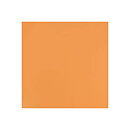 BZ Card Shoppe - Citrus Slice 3-359