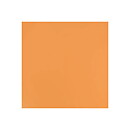BZ Card Shoppe - Citrus Slice 3-359