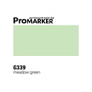 ProMarker -  G339 Meadow Green