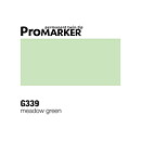 ProMarker -  G339 Meadow Green