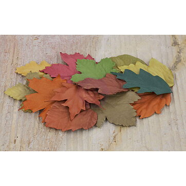 Prima Florella Collection - Leaves 1