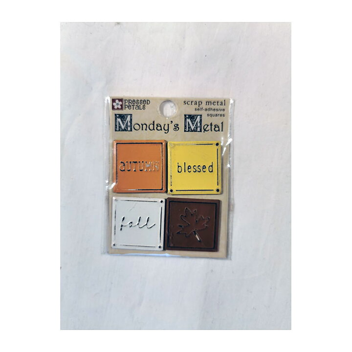 Monday's Metal Strip - Squares 