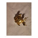 Brooch - Fish