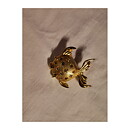Brooch - Fish