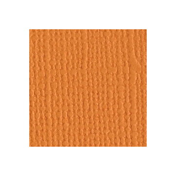 BZ Canvas - Apricot T3-368