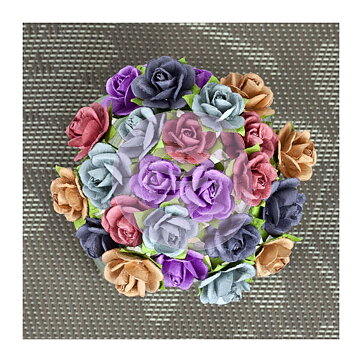 Prima Mini Roses - Sachet Sunrise