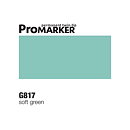 ProMarker -  G817 Soft Green