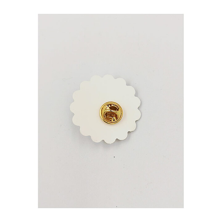 Pin - Bug enameled