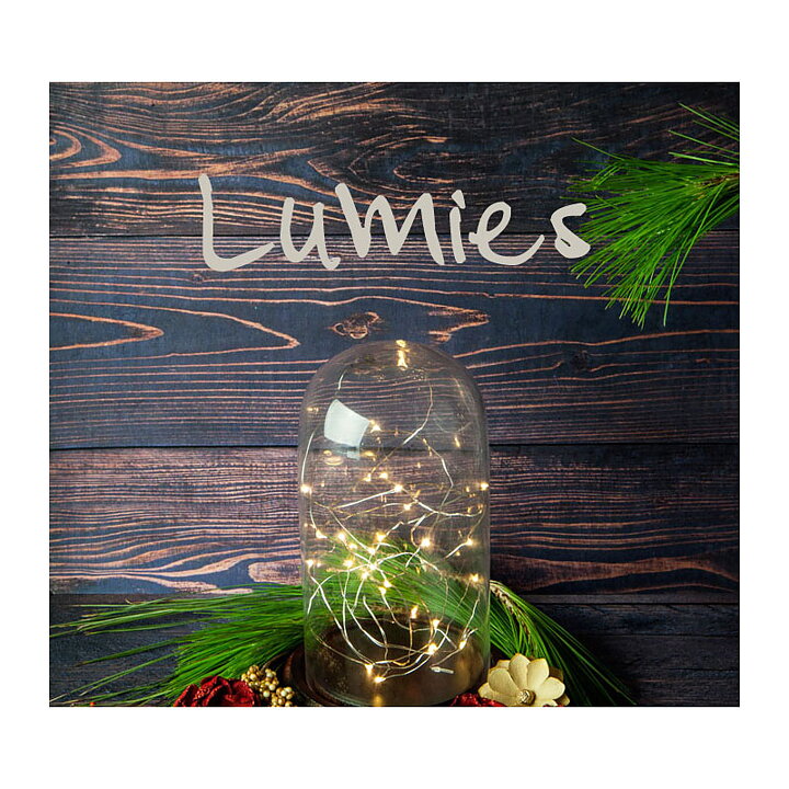 Prima Marketing Lumies LED Light String