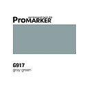 ProMarker -  G917 Grey Green