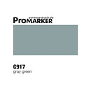 ProMarker -  G917 Grey Green