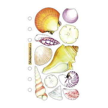 EK Success Sticko Vellum Stickers - Seashells