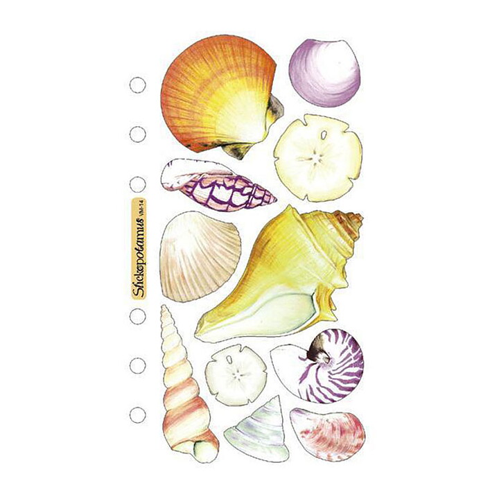 EK Success Sticko Vellum Stickers - Seashells