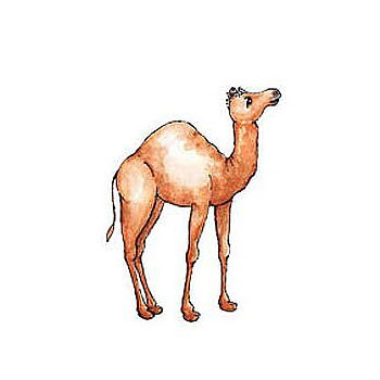 BK Dies 3x4 Animal Camel
