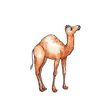 BK Dies 3x4 Animal Camel