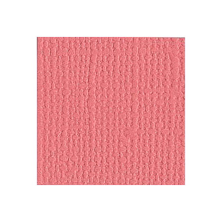 BZ Canvas - Flamingo T1-131