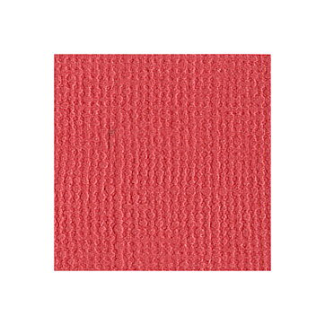 BZ Canvas - Watermelon T2-222