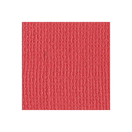BZ Canvas - Watermelon T2-222