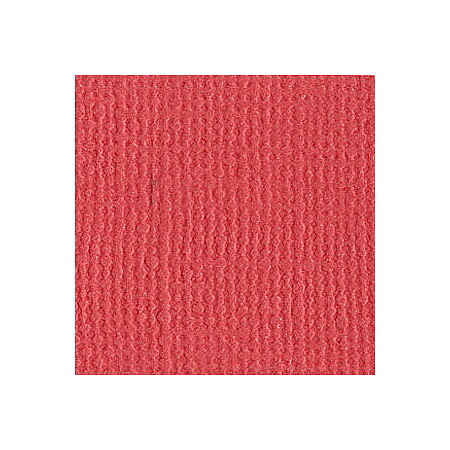 BZ Canvas - Watermelon T2-222
