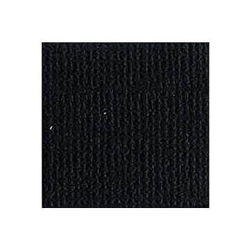 BZ Canvas - Raven T10-1081