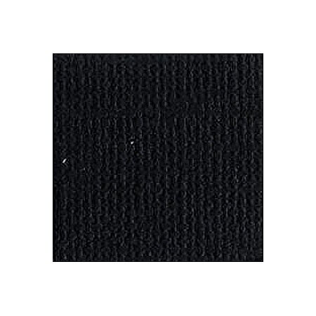 BZ Canvas - Raven T10-1081