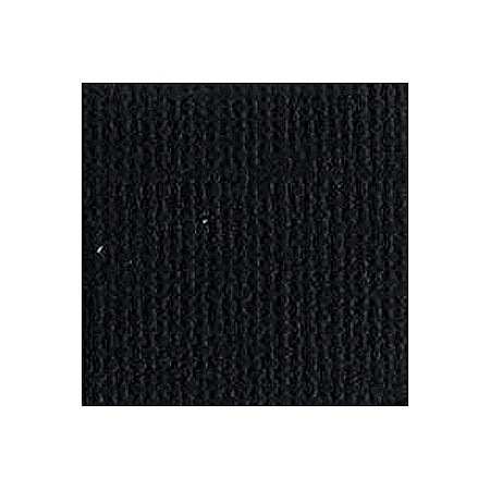 BZ Canvas - Raven T10-1081