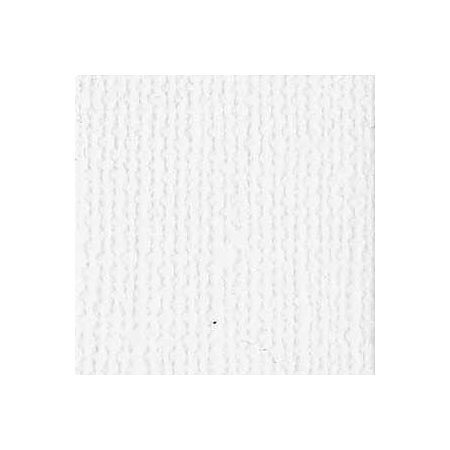 BZ Canvas - Bazill White T10-1001