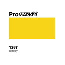 ProMarker -  Y367 Canary