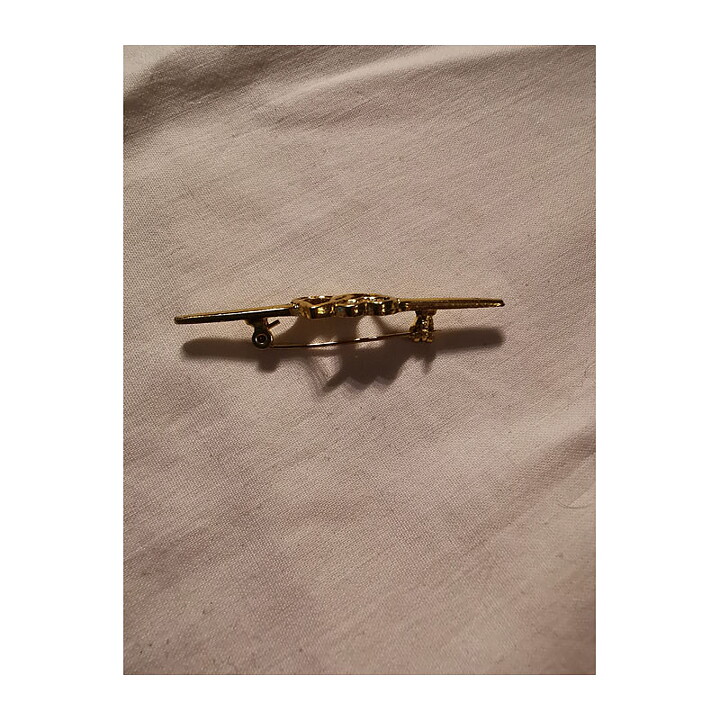 Brooch - Pin with Hearts