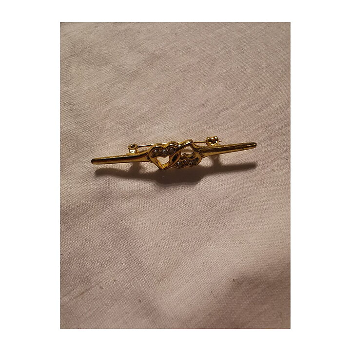 Brooch - Pin with Hearts