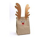 Hygloss Gusseted Flat Bottom Bag - Natural Set of 100
