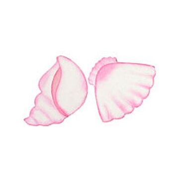 BK Dies 2x3 Beach Sea Shells