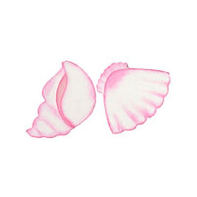 BK Dies 2x3 Beach Sea Shells