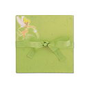 EKS 6x6 Accordion Disney - Tinker Bell